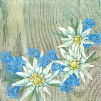 Διαμέρισμα Edelweiss & Enzian - Gaestehaus Zum Fuchs Hermagor-Pressegger See